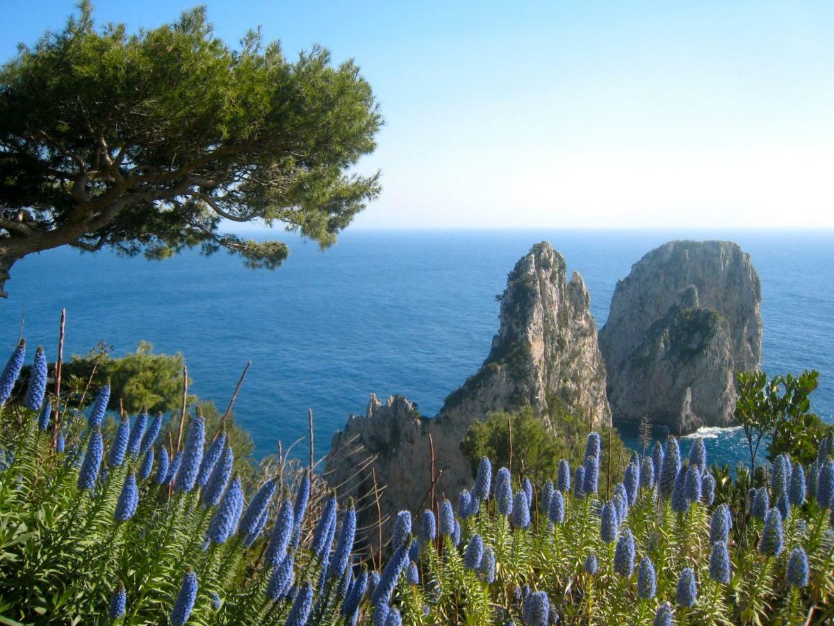 Casa Giovanna Capri Kültér fotó